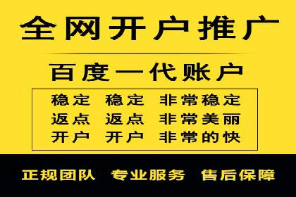 行业领先企业的sem账户竞价运营策略